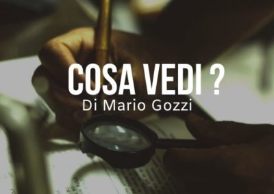 Cosa vedi ? del pastore Mario Gozzi